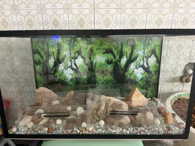 AQUÁRIO 80 LITROS COM PEDRAS E PAPEL PAISAGEM