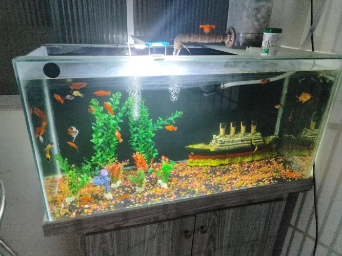 Aquário 100x50x40
