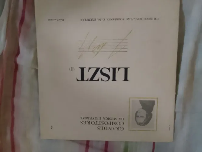 Vinil liszt