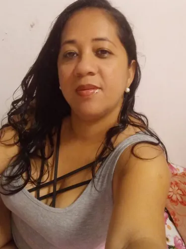 Sou diarista