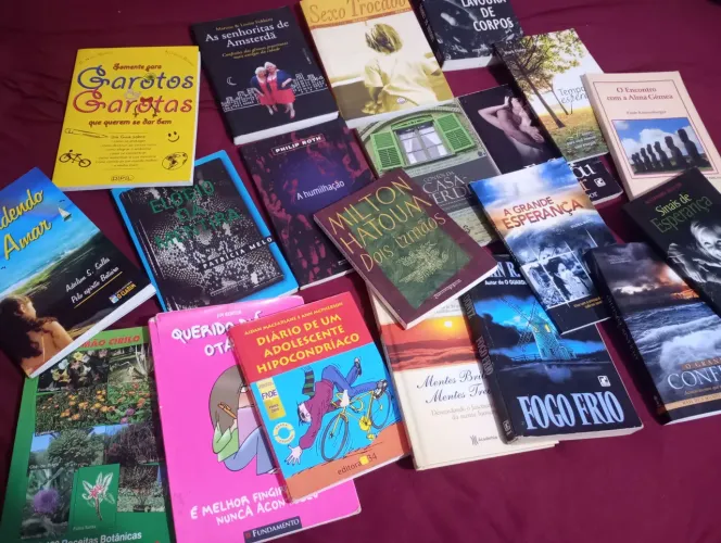 20 livros ( VER DESCRIÇÃO DE PREÇOS) Lote ou avulso