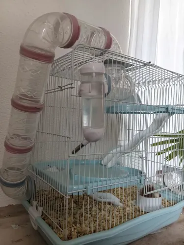 Gaiola hamster