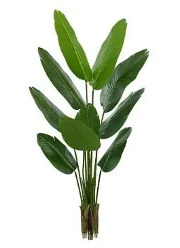 Planta Árvore Artificial Bananeira de Jardim Real Toque X10 Verde 1,60m