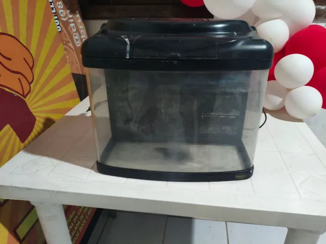 Aquário pequeno 
