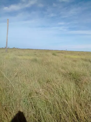 Fazenda no Paraguai 5.400 hec zona Arroyo y estero valor 1.500 dólar por hec