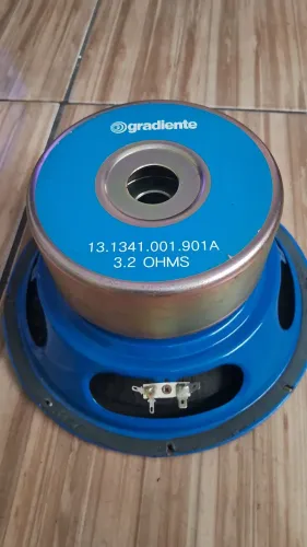Subwoofer 10 polegadas 
