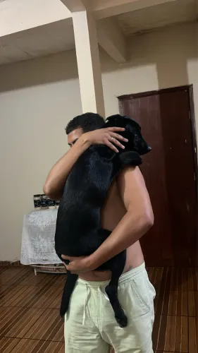 Doação de animal 