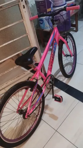 Bicicleta infantil feminina
