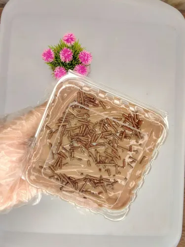 PAVÊ SOBREMESAS PUDIM