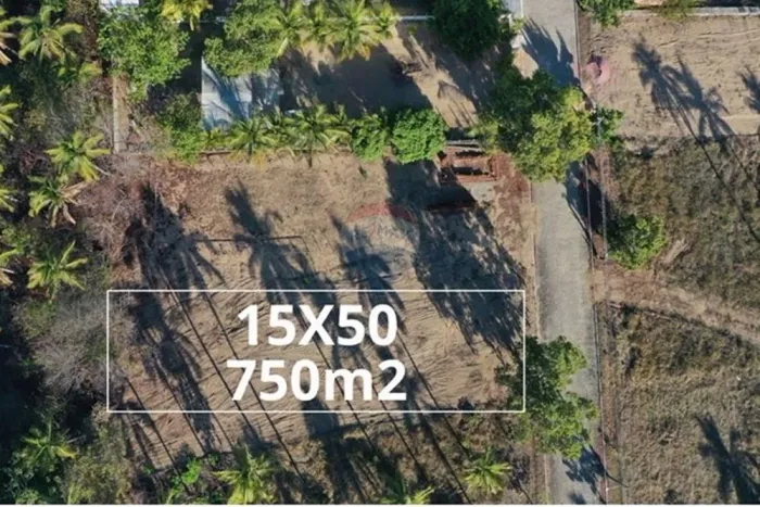 Terreno em Maragogi 15x50 750m2