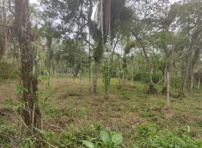 TERRENO Venda direta com o proprietário!