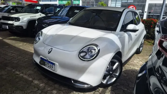 GWM Ora 03 Skin (elétrico) 2024