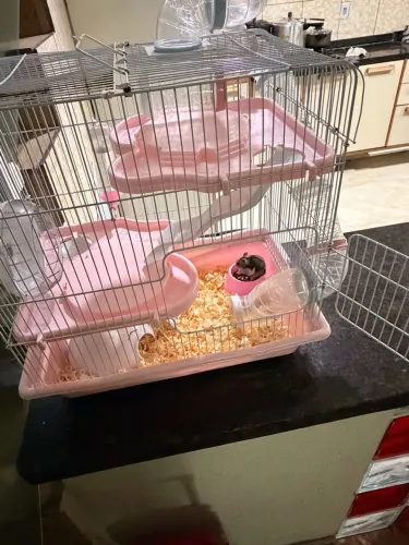 Gaiola Hamster