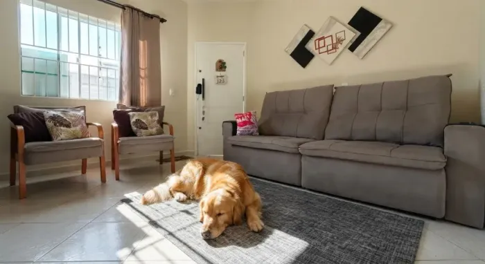 Doa se Cachorro Golden