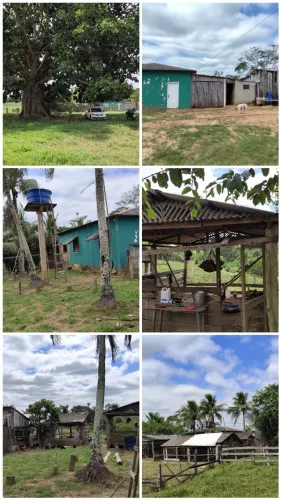 Chácara 12 hectares