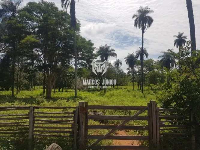 FAZENDA DE PECUÁRIA NO NORTE DE MINAS DE 600 HA DE OPORTUNIDADE ESTRUTURADA