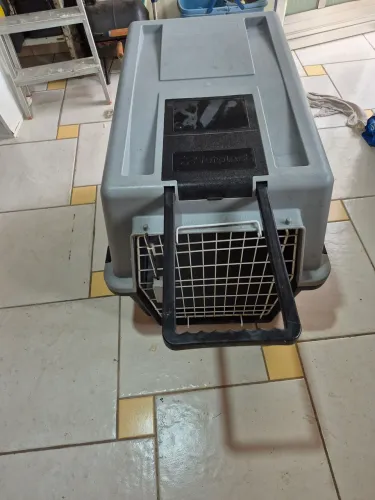 Transport pra cachorro