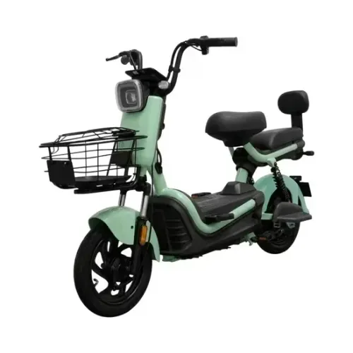 Moto Elétrica Tailg JK30 500W - Impecável, Econômica e Prática