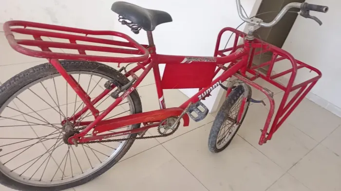 Bicicleta de carga