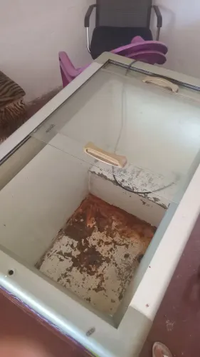 Freezer espositora