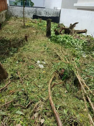 Lote No Passaredo