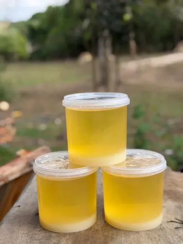Banha de porco