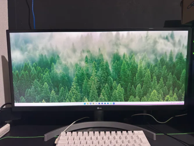 Monitor LG 29 polegadas (LEIA A DESCRIÇÃO)