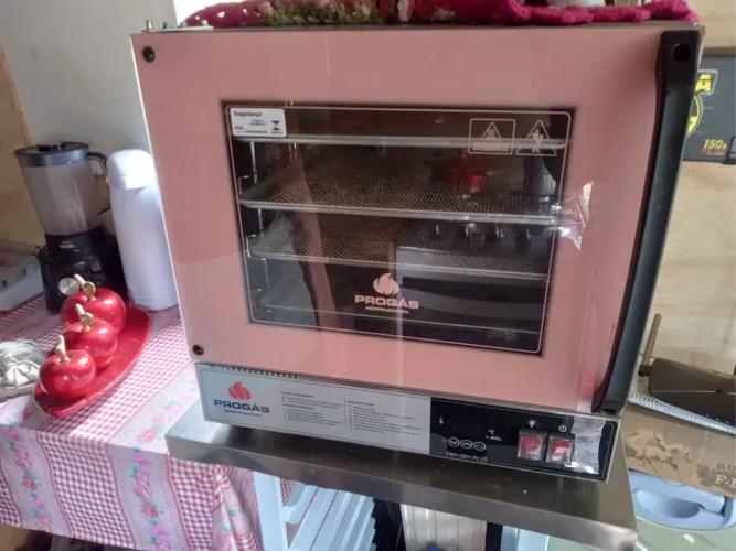 Forno industrial 