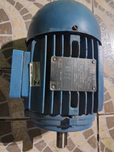 Motor Elétrico WEG 2CV alta rotação 