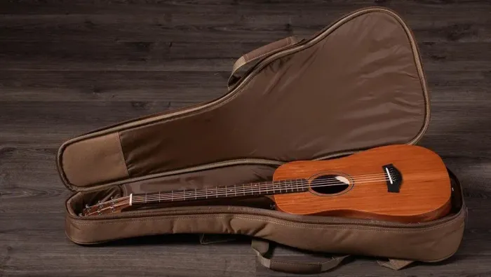 Taylor baby bt2e (Novo)