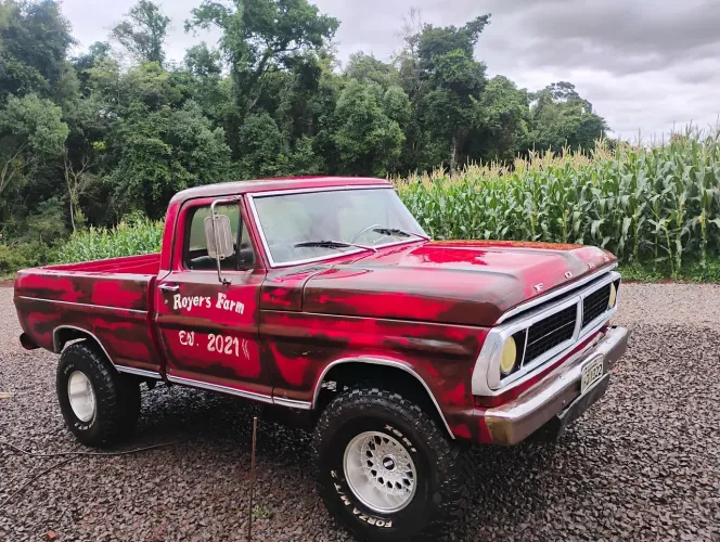 Ford F-1000 Super Serie CE Diesel 3.9 2027