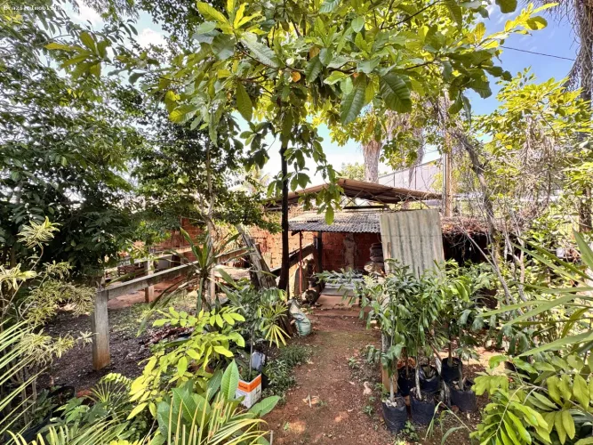 Chácara para Venda em Brasília, Setor Leste (Gama)