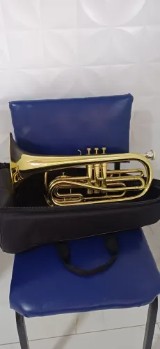 VENDO TROMBONITO
