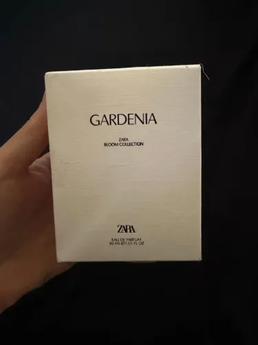 Perfume