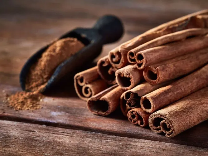 Muda de Canela 