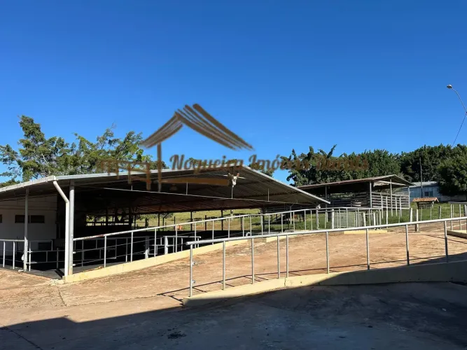 Fazenda com 51 alqueires, estrutura para leiteria