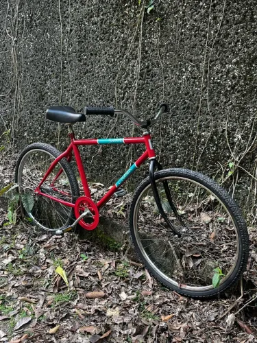 Caloi cruiser Safari