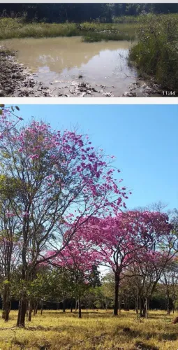 Fazenda próximo Uberlândia 93 hectares