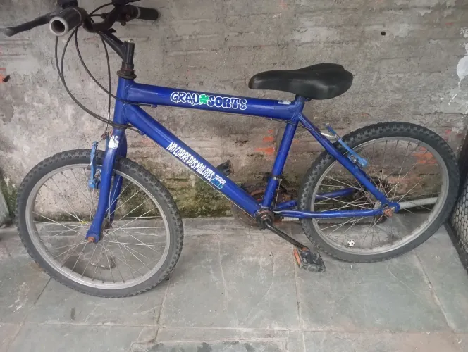 Bicicleta