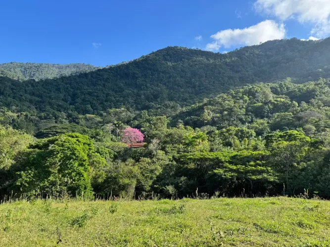 Fazenda/Sítio/Chácara para venda possui 800 metros quadrados com 10 quartos