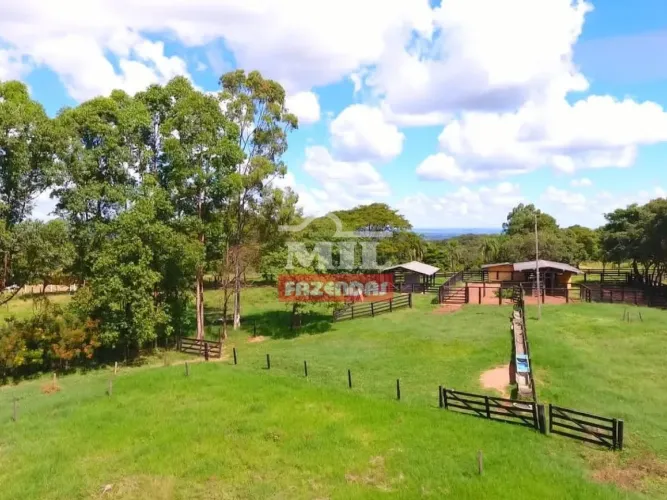 Fazenda em Caldas Novas- GO. 24,5 Alqueires