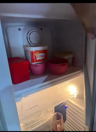 Geladeira consulta frost 300 litros