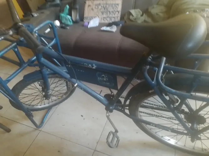 Bicicleta cargueira