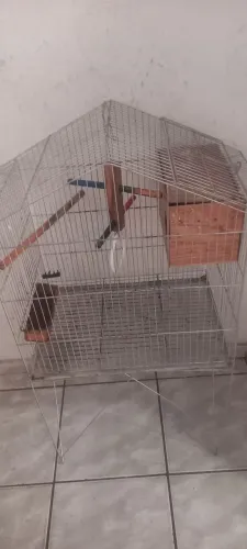 Vendo gaiola 