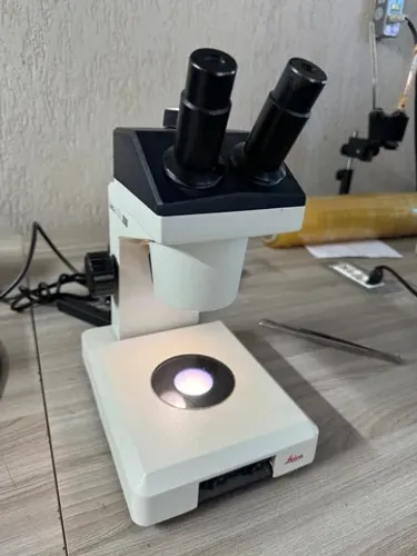 Microscópio estereoscópio Lupa Leica 