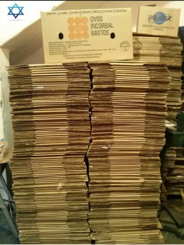 Caixa de papelão para mudança