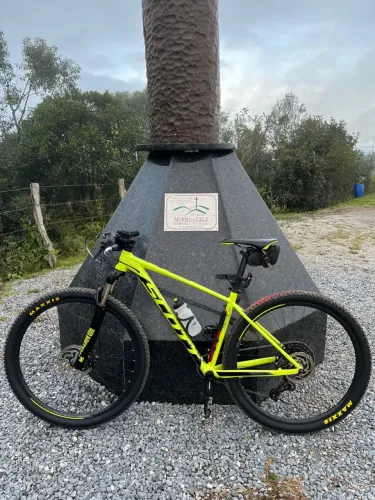 Scott 980