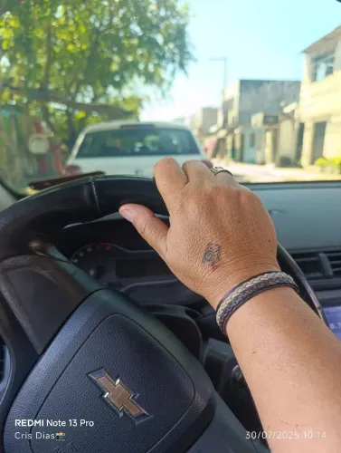 Motorista " D" isponivel