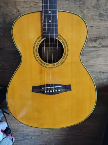 Violão Ibanez Raro! 