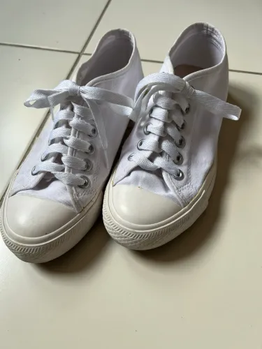 Sapatinho de luxo Tênis tipo all star 37